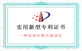 双电机管式输送机
